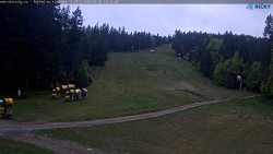Slalomka