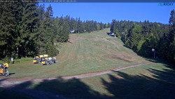 Slalomka