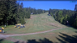 Slalomka