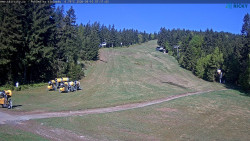 Slalomka
