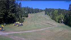 Slalomka