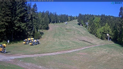 Slalomka