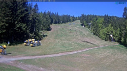Slalomka