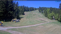 Slalomka
