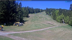 Slalomka