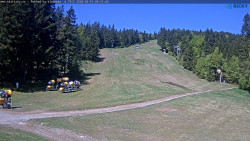 Slalomka