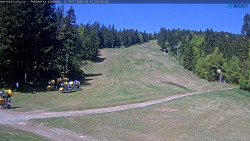 Slalomka