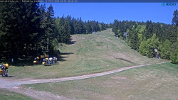 Slalomka