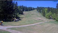 Slalomka