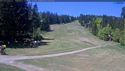 Slalomka