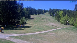 Slalomka