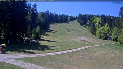 Slalomka