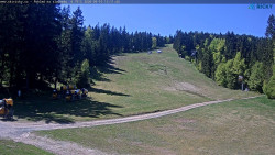 Slalomka