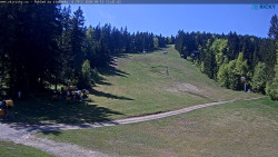 Slalomka