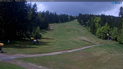 Slalomka