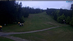 Slalomka