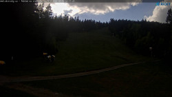 Slalomka
