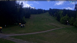 Slalomka