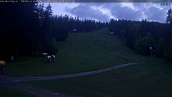 Slalomka