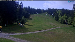 Slalomka