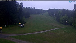 Slalomka