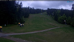 Slalomka