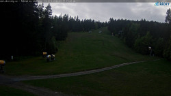 Slalomka