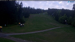 Slalomka