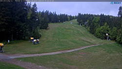 Slalomka