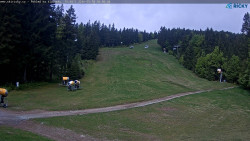 Slalomka