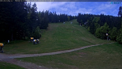 Slalomka
