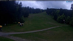 Slalomka
