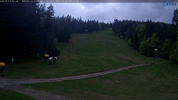Slalomka