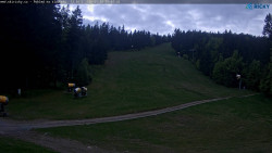 Slalomka