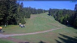 Slalomka