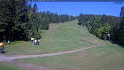 Slalomka