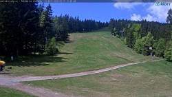 Slalomka