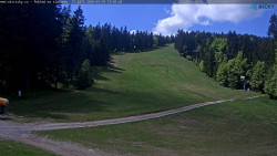 Slalomka