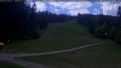Slalomka
