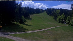Slalomka