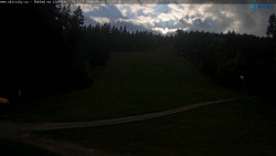 Slalomka