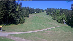 Slalomka