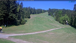 Slalomka