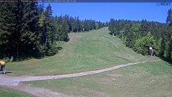 Slalomka