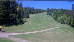 Slalomka