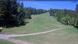 Slalomka