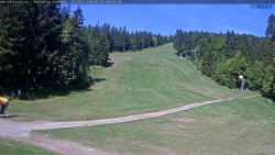 Slalomka