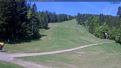 Slalomka