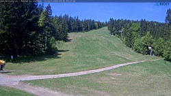 Slalomka