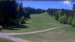 Slalomka